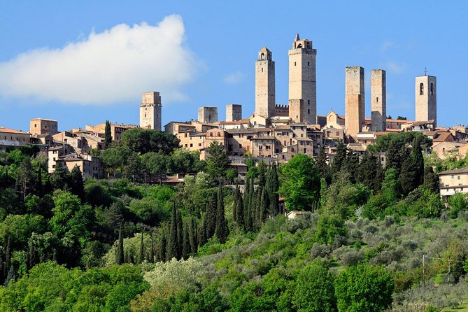 Private Tour in Siena, San Gimignano and Chianti Day Trip From Florence - Marveling at San Gimignanos Medieval Towers
