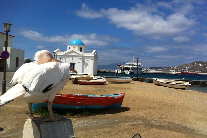 Private Tour: Mykonos Island in Half a Day - Tour Accessibility and Restrictions
