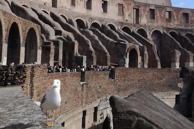 Private Tour of Colosseo - Skip the Line