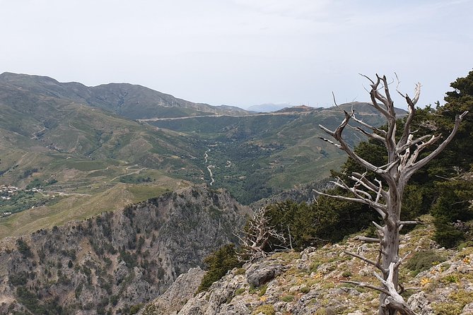 Rethymno Land Rover Safari With Lunch and Drinks - Remote Roads and Scenic Drives