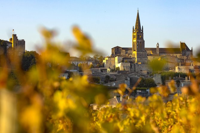 Saint Emilion Half-Day Trip With Wine Tasting & Winery Visit From Bordeaux - Exclusions