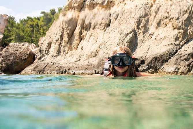 Sea Kayaking in Navarino Bay - Spotting Indigenous Marine Wildlife