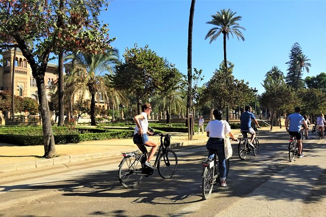 Seville Electric Bike Small Group Tour - Electric Bike Specifications and Features