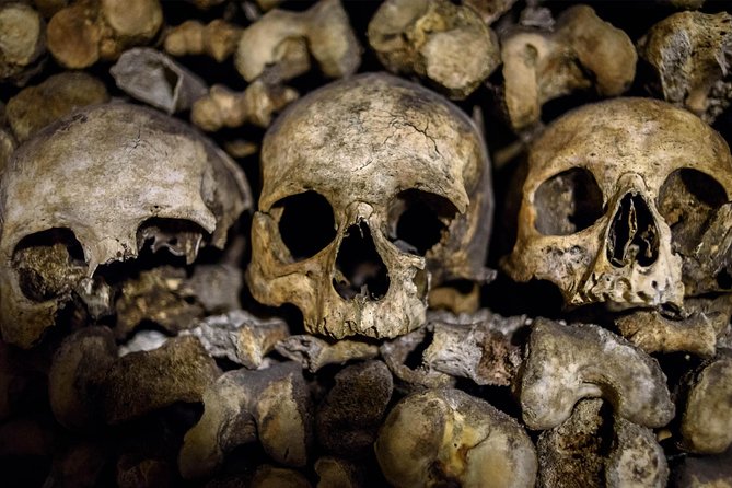 Skip-The-Line: Paris Catacombs Tour With VIP Access to Restricted Areas - Navigating the Tour Logistics