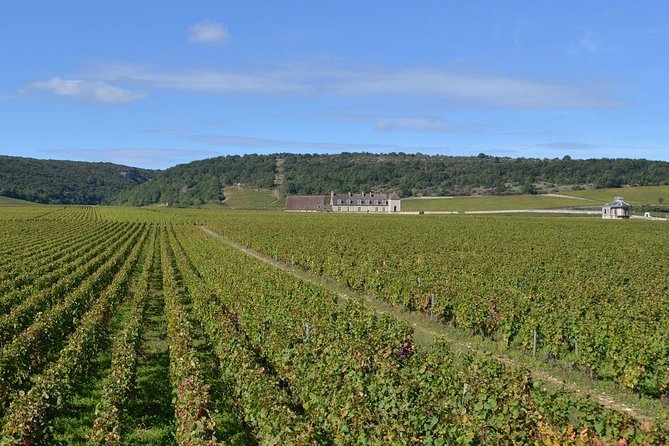 Small-Group Full-Day Tour of Côte De Nuits, Côte De Beaune Vineyards and Beaune Historical District - Exclusions