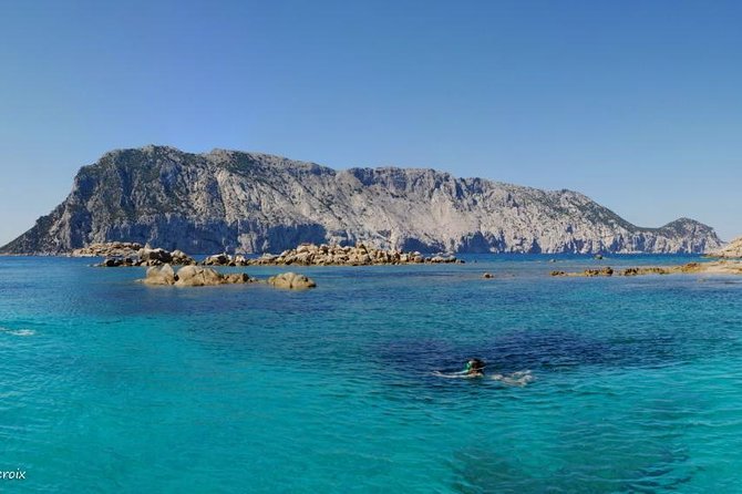 Tavolara Marine Protected Area for Snorkeling - Snorkeling Experience Details