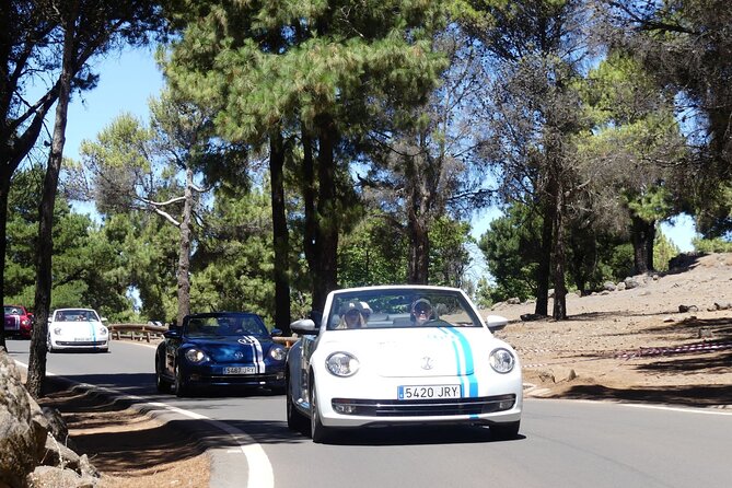 Vw Beetle Convertible Island Tour Discover the Island on a Different Way - Scenic Vantage Points