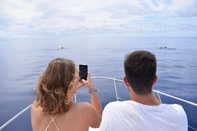 Whale and Dolphin Watching Tour in Madeira - Meeting and Pickup