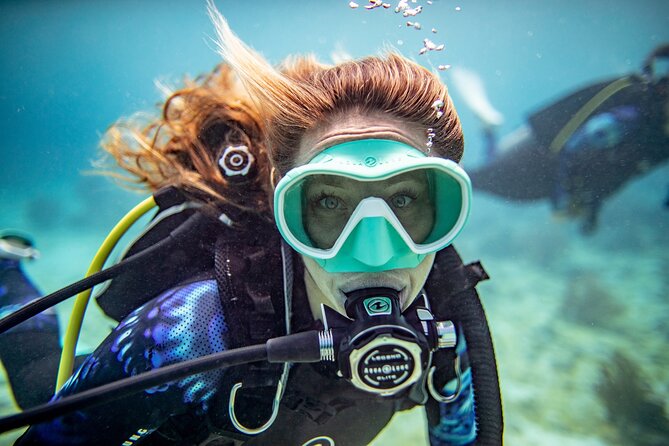 3-Hour Guided PADI Scuba Diving Experience in Tenerife - Key Points