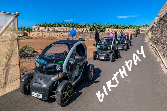 4 Hours Eco Safari Tour With Electric Car in Tenerife - Canarian History and Culture