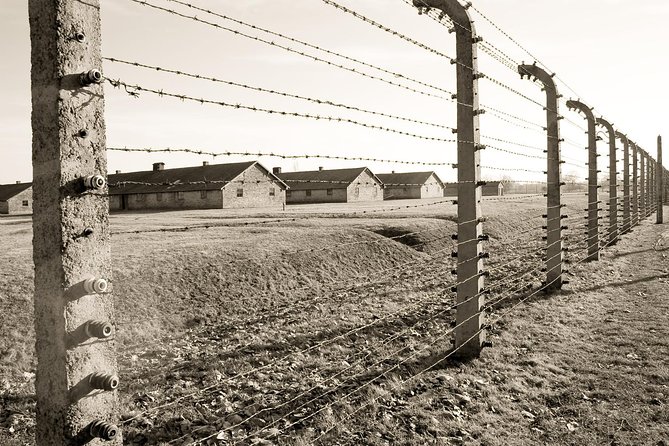 Auschwitz- Birkenau and Wieliczka Salt Mine in One Day - Accessibility and Restrictions