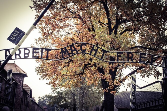 Auschwitz-Birkenau Live Guided Tour and Transfer From Krakow - Visitor Information and Expectations