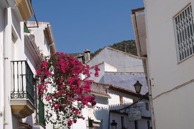 Authentic Andalusia - Jeep Eco Tour (Pick up From Marbella - Estepona) - Additional Information
