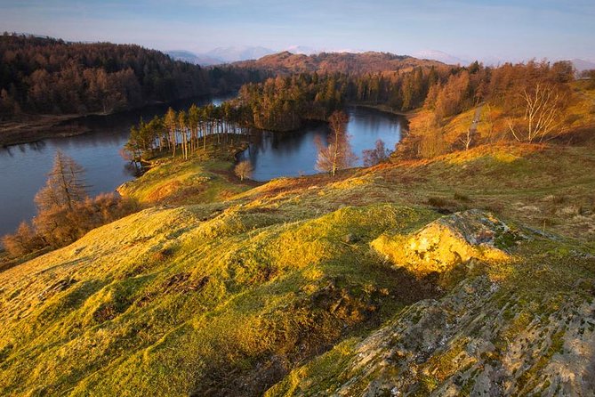 Beatrix Potters Half Day Lake District Tour Including Lake Cruise - Tarn Hows - A Beauty Spot