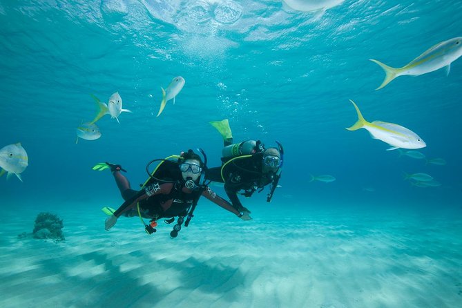 Beginners Scuba Diving Experience in Gran Canaria - Getting to the Meeting Point
