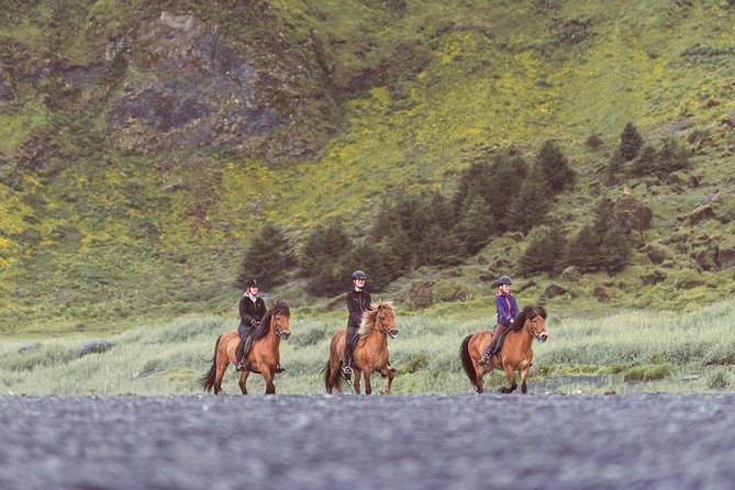Black Sand Beach Horse Riding Tour From Vik - Confirmation and Accessibility