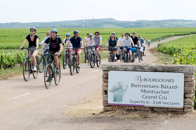Burgundy Bike Tour With Wine Tasting From Beaune - Additional Winery Visit