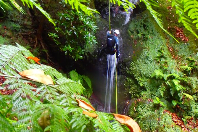 Canyoning Madeira Island - Level One - Fitness and Medical Requirements