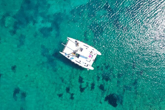 Catamaran Excursions in the Asinara Island National Park - Included in the Experience