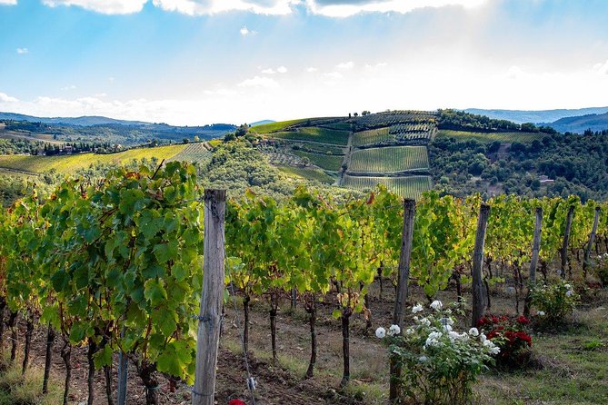 Chianti Safari: Tuscan Villas With Vineyards, Cheese, Wine & Lunch From Florence - Exploring Historic Wine Estate