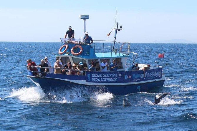 Dolphin Watching in Gibraltar With the Blue Boat Dolphin Safari - Fantastic Views of Spain and Morocco