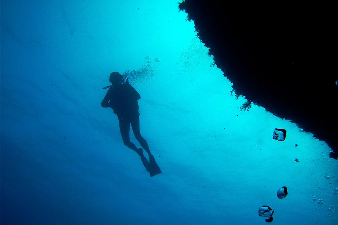 (Full Day)Scuba Diving in Rhodes - Suitability and Prerequisites
