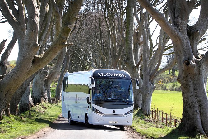 Game of Thrones and Giants Causeway Full-Day Tour From Belfast - Atmospheric Dark Hedges