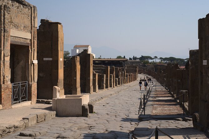 Guided Tour of Pompeii Ruins With Lunch and Wine Tasting - Cancellation Policy