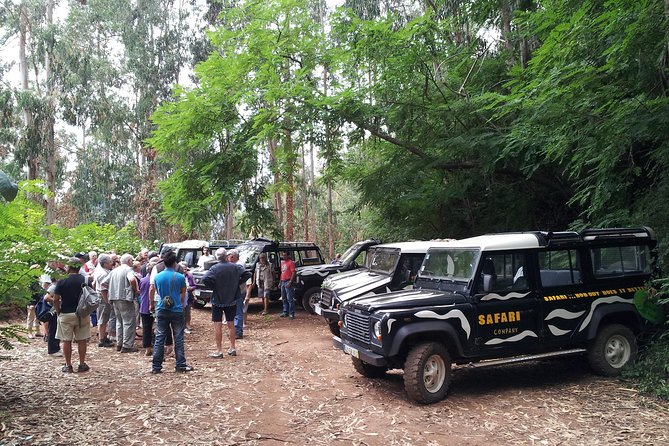 Half-Day Small-Group Madeira Village Safari From Funchal - Off-Road Adventure in the Mountains