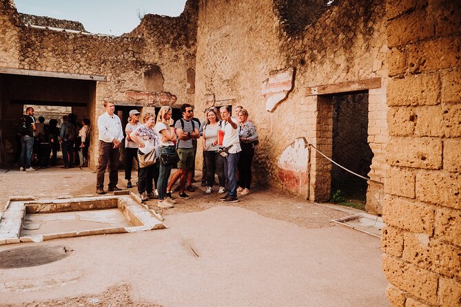 Herculaneum Small Group Tour With an Archaeologist - Confirmation and Accessibility