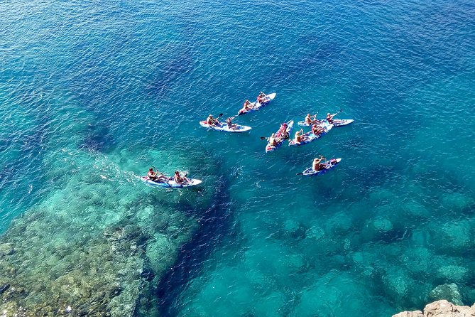 Kayak & Snorkelling in Papagayo - Cancellation Policy