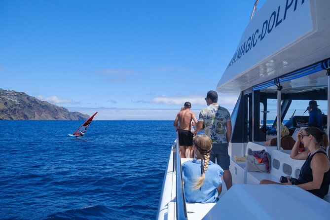 Madeira Dolphin and Whale Watching on a Ecological Catamaran - Cancellation and Refund Policy