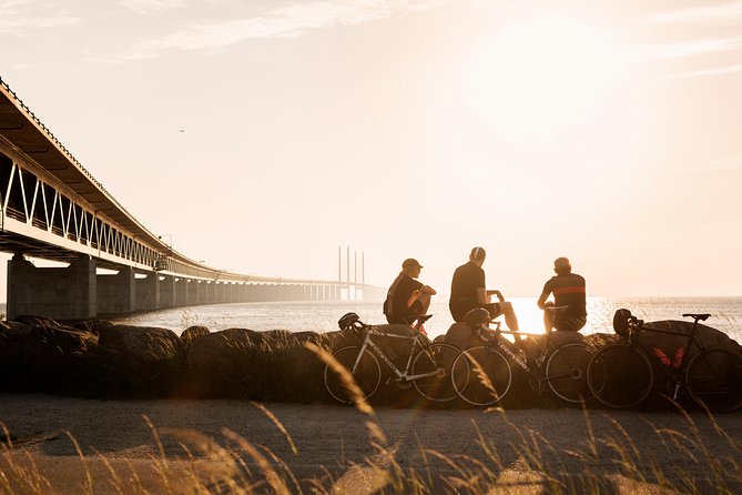 Malmö & Lund Tour, Crossing the Öresund Bridge to Sweden - Tour Details