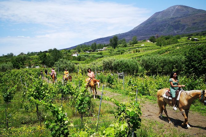 Pompeii Guided Tour & Horse Riding on Vesuvius With Wine Tasting - Winery Visit and Wine Tasting