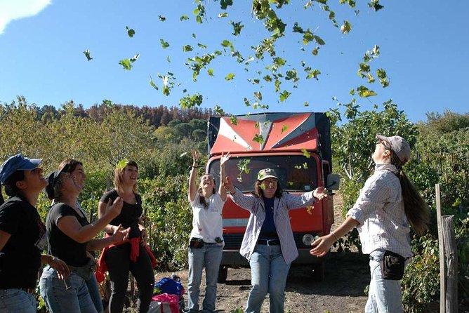 Private 6-Hour Tour of Three Etna Wineries With Food and Wine Tasting - Pickup and Logistics