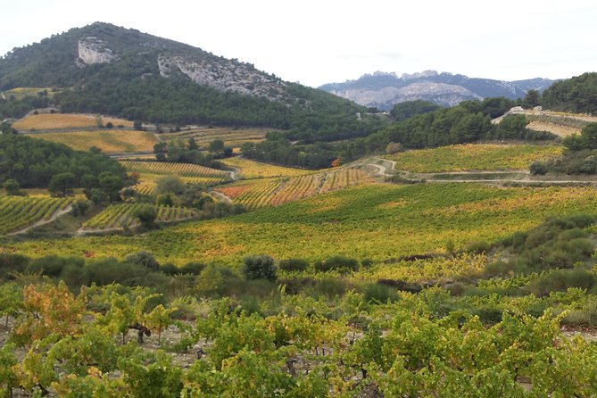 Provence Cru Wine Small-Group Half-Day Tour From Avignon - Sampling Fine Wines of Provence