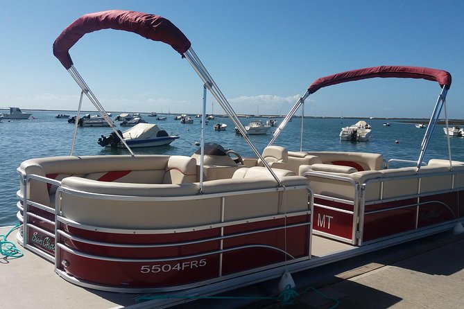 Ria Formosa Natural Park and Islands Boat Cruise From Faro - Wildlife Viewing in Ria Formosa