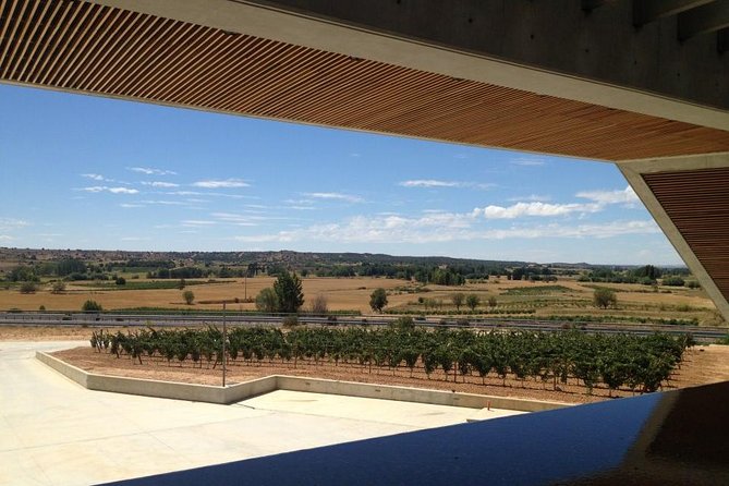 Ribera Del Duero Wineries Guided Tour & Wine Tasting From Madrid - Cancellation Policy