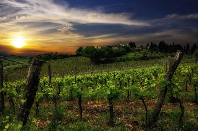 Siena: A Wine Tour and Tasting Experience - Availability and Policies