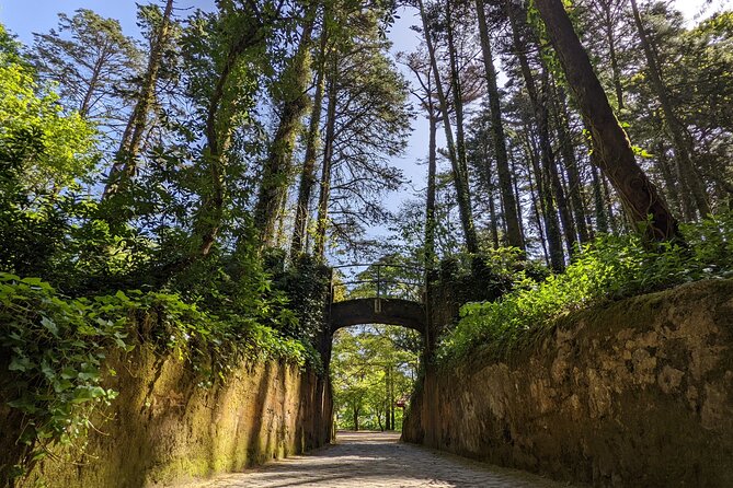 Sintra Small Group Tour From Lisbon: Pena Palace Ticket Included - Tour Itinerary