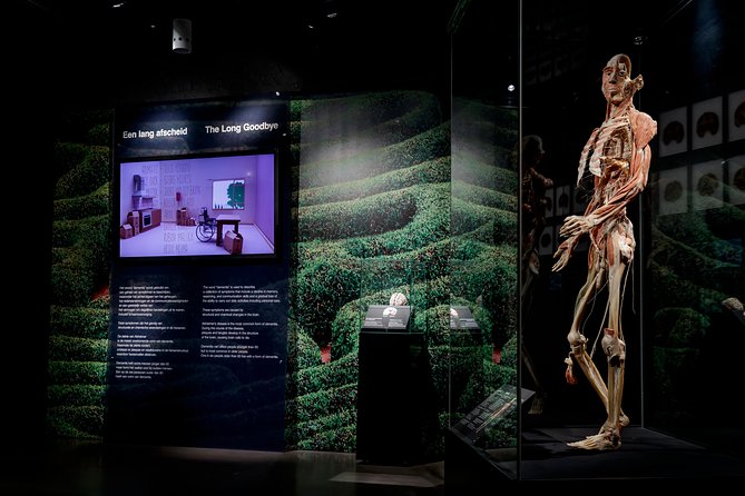 Skip the Line: Body Worlds Amsterdam Ticket - Ticket Inclusions