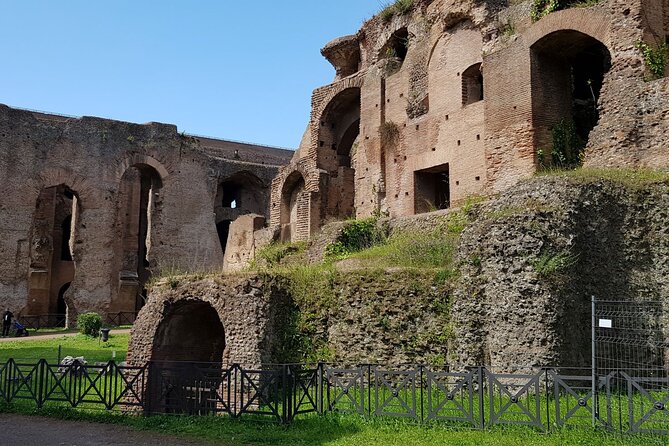 Small Group Colosseum Arena Floor Roman Forum and Palatine Hill - Tour Logistics