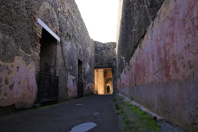 Small Group Guided Tour of Pompeii Led by an Archaeologist - Highlights of Pompeii