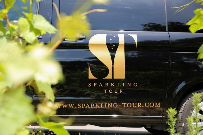Small Group - Half Day Champagne Tour - Visit of 2 Small Producers/Growers - Exclusions and Restrictions
