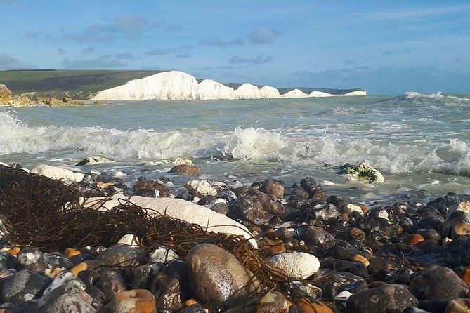 South Downs and Seven Sisters Full Day Experience From Brighton - Transportation and Guide