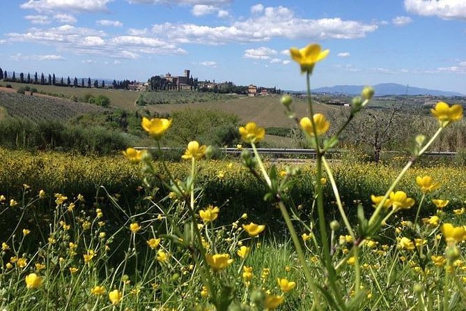 Tuscany Bike Tours Through the Chianti Hills With Wine Tasting - Included Amenities and Optional Upgrades