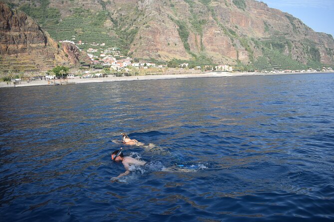 Whale and Dolphin Watching Tour in Madeira - Policies and Additional Info