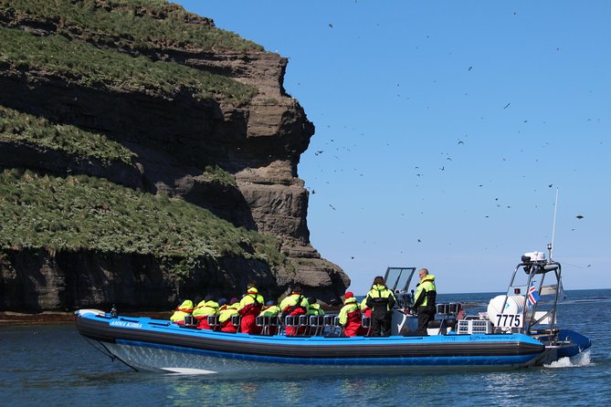 Whale Safari and Puffins RIB Boat Tour From Húsavík - Safety Precautions
