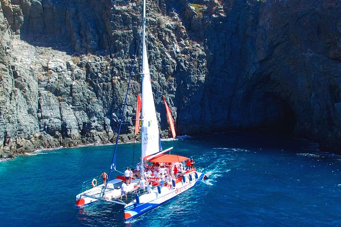 Whale Watching and Listening Eco Catamaran Tour With Food Tasting - Additional Tour Details