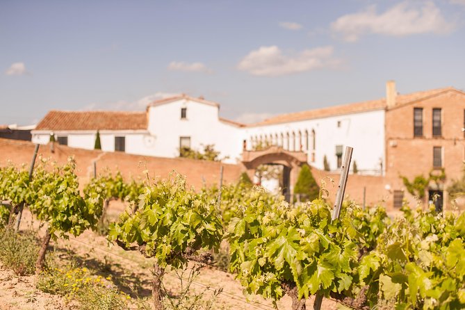 Wine, Tapas & Cava Private Tour From Barcelona - Tasting Local Wines and Cavas